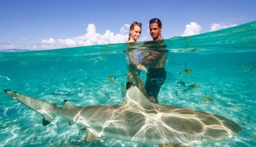 Mauritius: Your Ultimate Tropical Escape